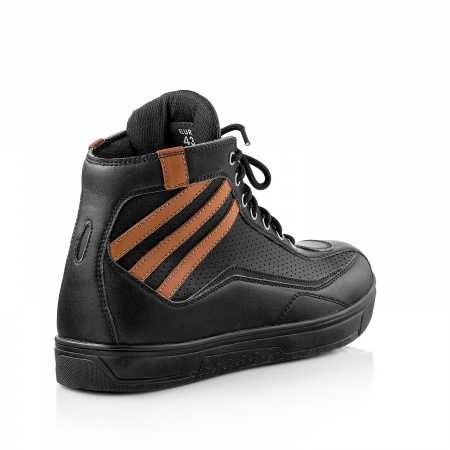 MOTEQ_M02619ROBUST-3